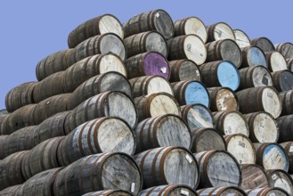 Huge stacks of discarded whisky casks, barrels at Speyside Cooperage, Craigellachie, Aberlour,