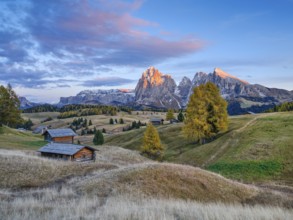 Autumn on the Seiser Alm, Alpine huts with Plattkofel and Langkofel, sunset, Dolomites, South Tyrol