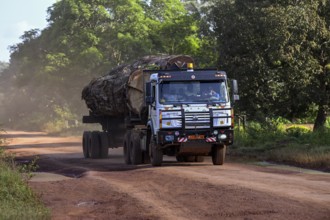 Lorry loaded with tropical timber from the Congo Basin, near Yokadouma, Boumba-et-Ngoko district,