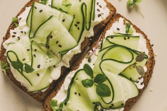 Breakfast, cereal bread sandwiches, cream cheese, sliced cucumber, with micro greenery on a light