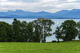 Sailing boat on the Chiemsee, Schalchen, Gstadt am Chiemsee, behind Chiemgau Alps, Chiemgau, Upper