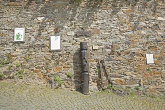 Historical pillory, pillory on stone wall, Middle Ages, inscription, text, explanation, town hall