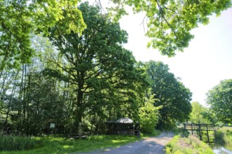 Refuge and lock on the Friedrichskanal and Dannefelder Moorgraben in the UNESCO Drömling Biosphere