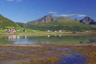 Tidal landscape, mountains and scattered houses, Leknes, Lofoten, Vestvågøy, Nordland, Norway,