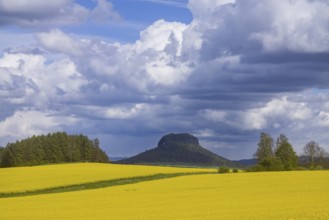 The Lilienstein is the most famous striking rock formation in Saxon Switzerland, Struppen, Saxony,