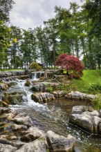 Watercourse in gardens, Irish National Stud and Gardens, The Irish National Stud, Tully, Kildare,