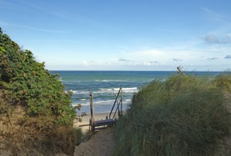 View of the sea from the dune path with vegetation and blue sky, holiday, North Sea, Lokken, North