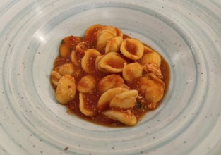 Orecchiette pasta, ear-shaped pasta, Apulia, Italy, Europe