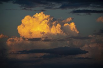 Cumulonimbus thundercloud at sunset with dramatic sky in front of a thunderstorm