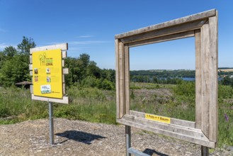 Reforestation in the Arnsberg forest above the Möhnesee, Soest district, citizens' forest project,