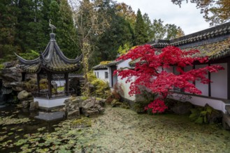 The Botanical Garden of the Ruhr-University Bochum, in the district Bochum-Querenburg, North