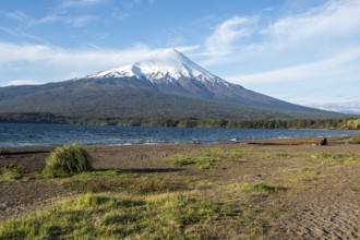 Beach Playa Ensenada, lake Llanquihue, volcano Osorno, chilenean lake district, Los Lagos region,