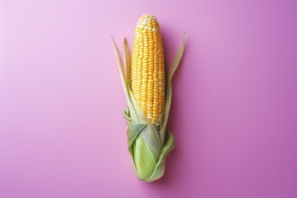 Corn vegetable on purple background. KI generiert, generiert, AI generated