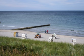 Ahrenshoop, Fischland-Darß-Zingst, Mecklenburg-Vorpommern, Germany, sandy beach beach at the