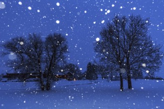 Snowflakes, snowfall, twilight, blue hour, trees, houses, Schlehdorf, Alpine foothills, Bavaria,