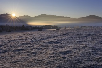 Foggy mood, sunrise, hoarfrost, winter, sunbeams, Loisach-Lake Kochel moor, view of Kochler