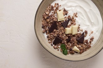 Joghurt mit Schokoladenmüsli, Frühstück, Nahaufnahme, Gabel obenauf, keine Personen