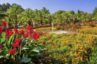 Palm garden in the historic spa gardens, the largest outdoor palm garden north of the Alps, Bad