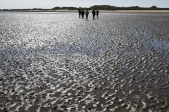 Mudflat hike on the island of Amrum, Norddorf, 16.06.2020