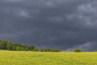 Heavy rain showers and thunderstorms over Possendorf in the Eastern Ore Mountains, Possendorf,