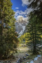 Mountain peak of the Sella Group Mountain landscape in the Alps through a dense forest with snow,