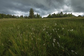 Stormy sky over the high mountain peak. Vosges, Lower Rhine, Alsace, France, Europe