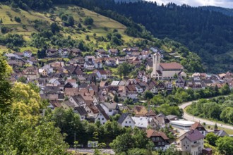 Gausbach and the Murg Valley, Forbach, Black Forest, Baden-Württemberg, Germany, Europe