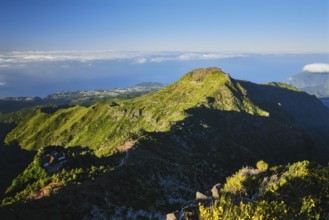 View from hike trail path to Pico Ruivo, Madeira