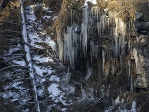 Icicle on a rocky slope, Saale, Upper Franconia, Germany, Europe