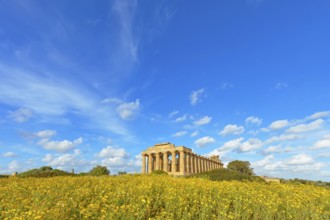 Temple of Hera or Temple E, Selinunte Archaeological Park, Selinunte, Trapani district, Sicily,