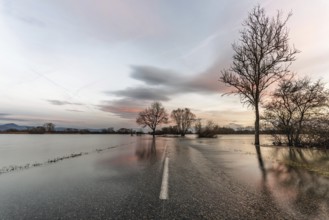 A road is flooded with water and trees can be seen in the background. The sky is cloudy and the sun