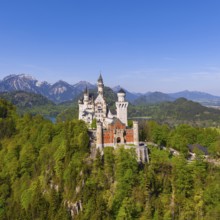 Neuschwanstein Castle is majestically enthroned on a wooded hill with a picturesque mountain