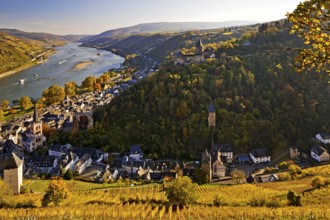 View of Bacharach and the Rhine in autumn, UNESCO World Heritage Upper Middle Rhine Valley,