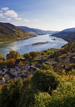 View of Bacharach on the Rhine in autumn, UNESCO World Heritage Upper Middle Rhine Valley,