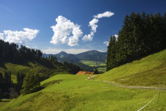 Illertal near Oberstdorf, behind the group of listeners, Allgäu, Bavaria, Germany, Europe