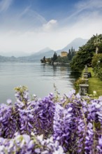 Park, spring, Villa Monastero, Varenna, Province of Lecco, Lombardy, Italy, Europe