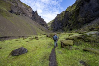 Hiking trail through a green moss-covered gorge, enchanted volcanic landscape, Pakgil, Iceland,