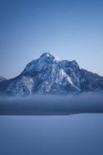 Shortly after sunset, twilight at Lake Hopfensee in the Allgäu in Bavaria in a winter landscape,