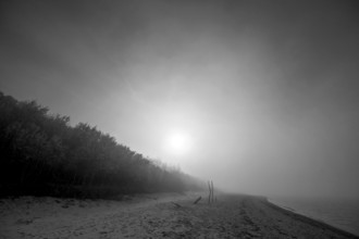 Sun in the morning mist on the Baltic Sea, Mecklenburg-Western Pomerania, Germany, Europe