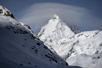 Königsspitze, summit, snow-covered mountain landscape, Ortler Alps, Vinschgau Valley, Italy, Europe