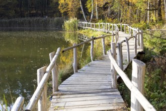 Winding wooden footbridge with railings in autumn, Lake of Friendship, Königsbrücker Heide, Saxony,