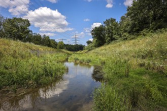 Bottrop, North Rhine-Westphalia, Germany, Renaturalised Boye, the tributary of the Emscher, has