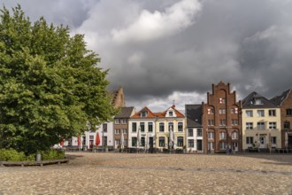 The market square with the lime tree in Kalkar, Lower Rhine, North Rhine-Westphalia, Germany,