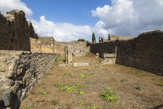 Old stone and terracotta brick wall and building structures in yard covered with brown soil and