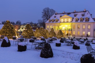 Wackerbarths Winterzauber, Wackerbarth Castle with Christmas lights and snow, Radebeul, Saxony,