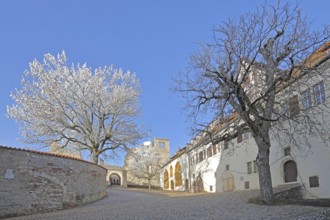 Inner courtyard of the medieval Hellenstein Castle in winter with hoarfrost and snow, Museum,