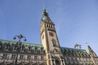 City Hall, State Government, North German Renaissance, Hamburg, Germany, Europe