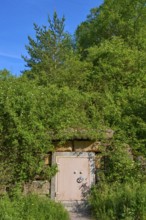 Combination lock safe with stone frame in the middle of dense forest vegetation under a clear sky,