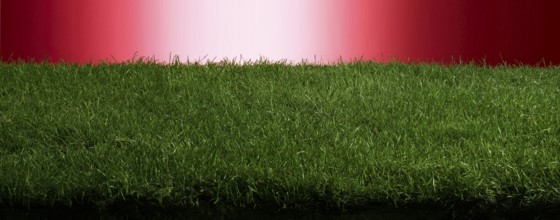 Turf in front of a red background, studio shot