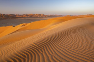 Sand dunes in the Rub Al Khali desert, the world's largest sand desert, Empty Quarter, Oman, Asia